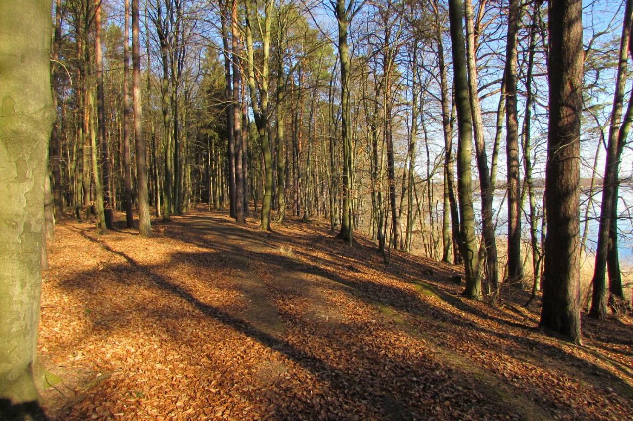 Ferienhaus Mit 2 Fewo In Mecklenburg Apartamento Wesenberg Exterior foto